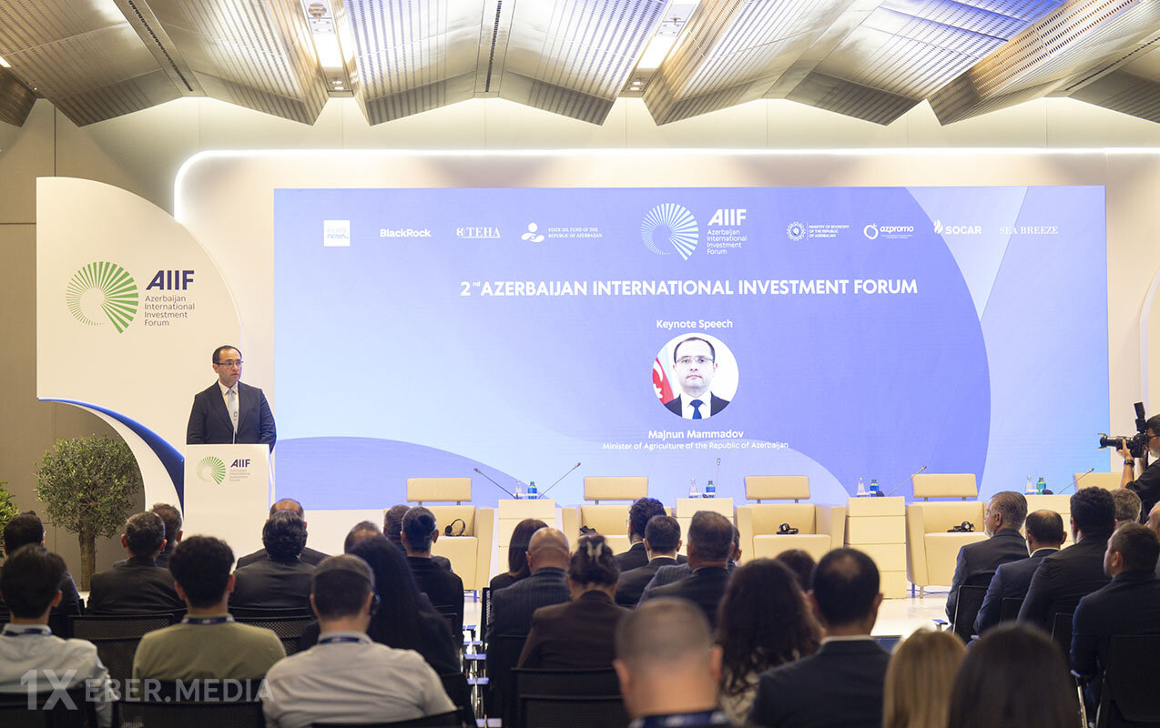 Məcnun Məmmədov panel sessiyada çıxış etdi