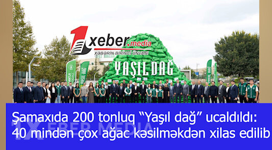 Şamaxıda 200 tonluq “Yaşıl dağ” ucaldıldı: 40 mindən çox ağac kəsilməkdən xilas edilib-VİDEO