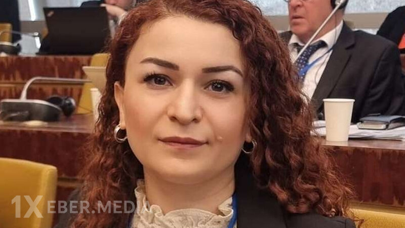 Keçmiş deputat vəzifəsindən azad olundu