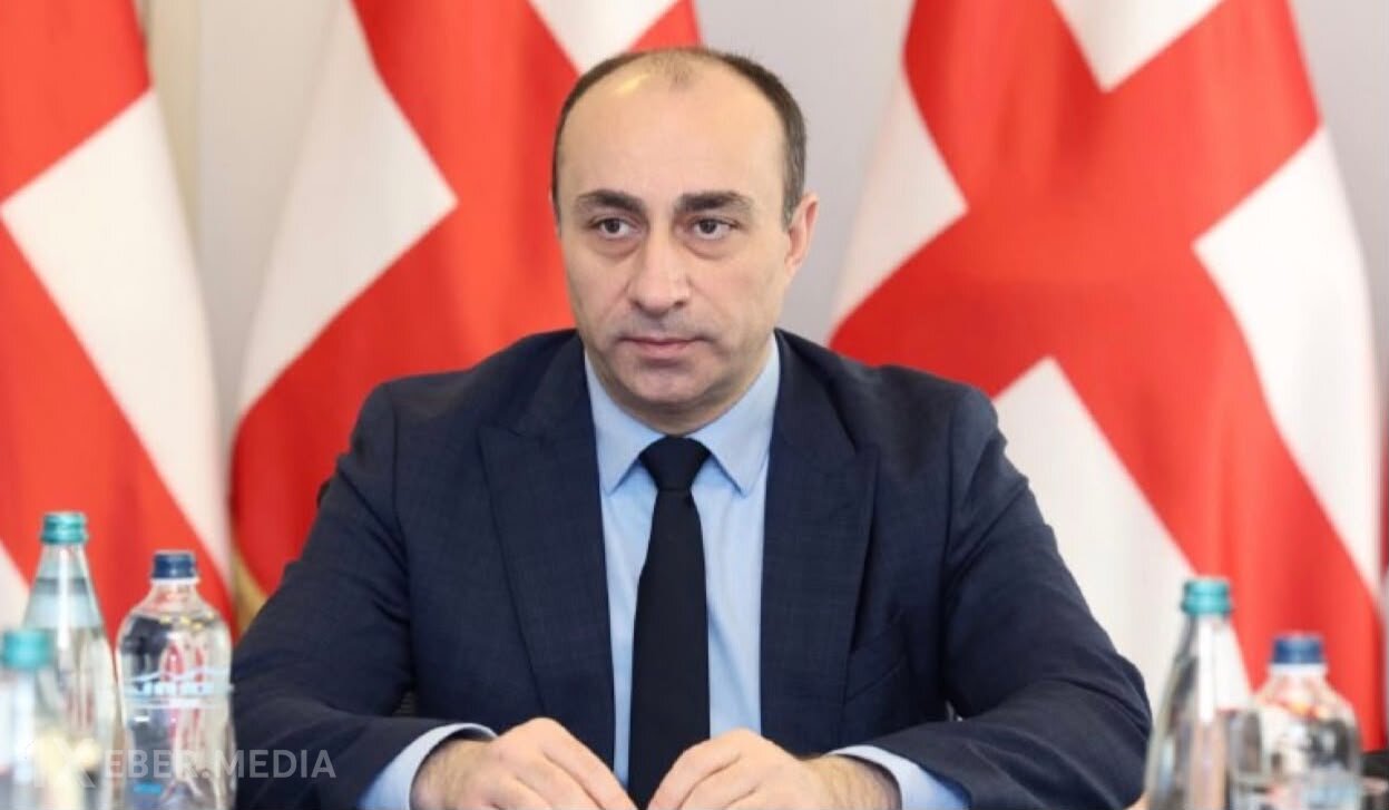 Gürcüstan DTX-nın rəhbəri istefa verdi