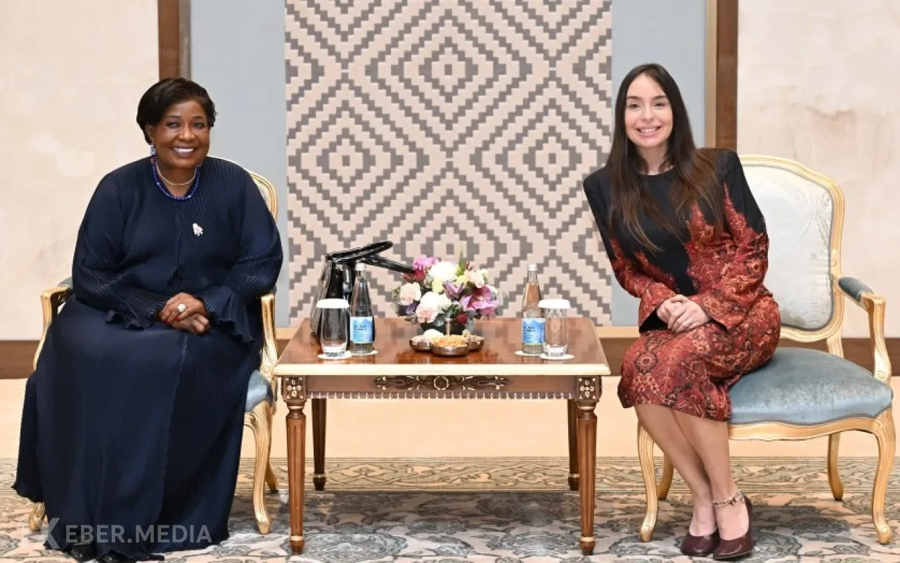 Leyla Əliyeva Zimbabvenin birinci xanımı ilə görüşdü
