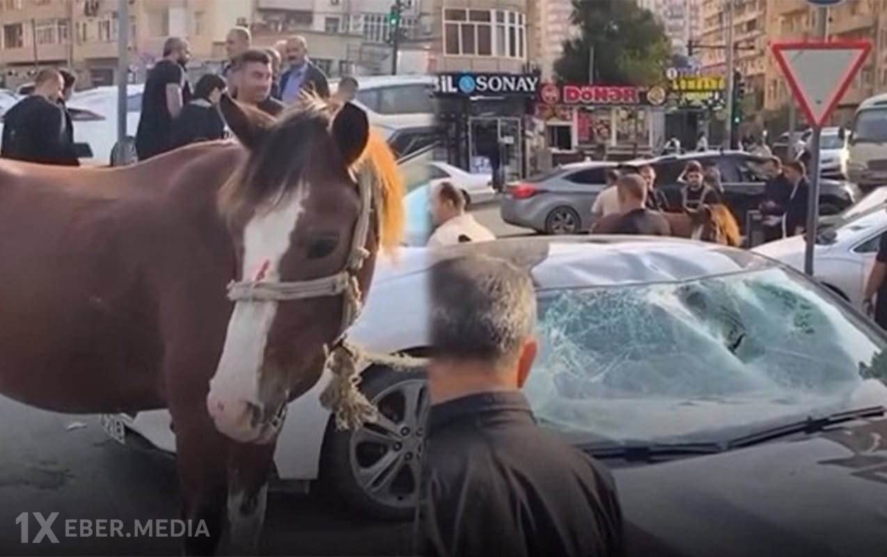 Bakıda maşın atla toqquşdu - Video