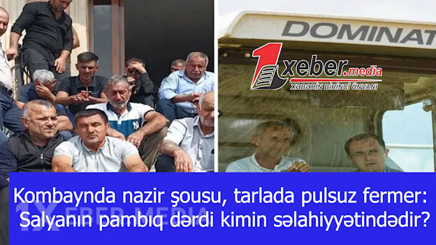 Kombaynda nazir şousu, tarlada pulsuz fermer: Salyanın pambıq dərdi kimin səlahiyyətindədir?-VİDEO