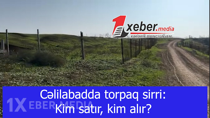 Cəlilabadda torpaq sirri: Kim satır, kim alır?-VİDEO
