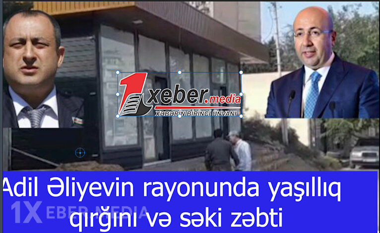 Adil Əliyevin rayonunda yaşıllıq qırğını və səki zəbti-VİDEO