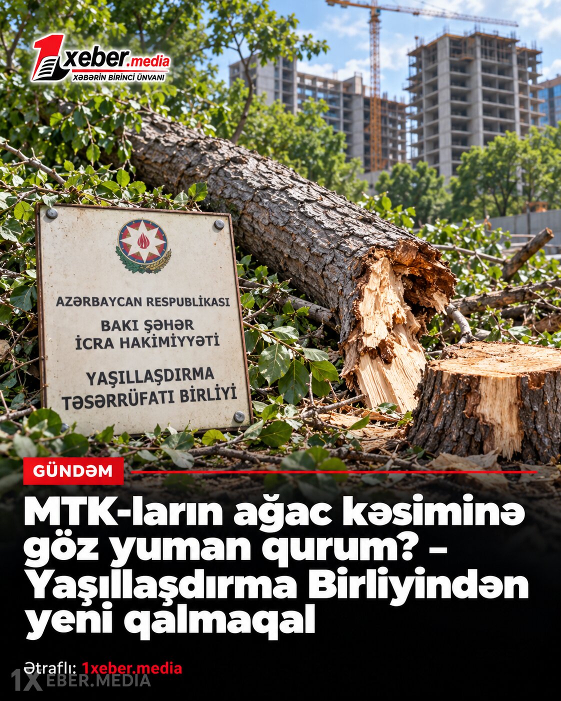 MTK-ların ağac kəsiminə göz yuman qurum? – Yaşıllaşdırma Birliyindən yeni qalmaqal