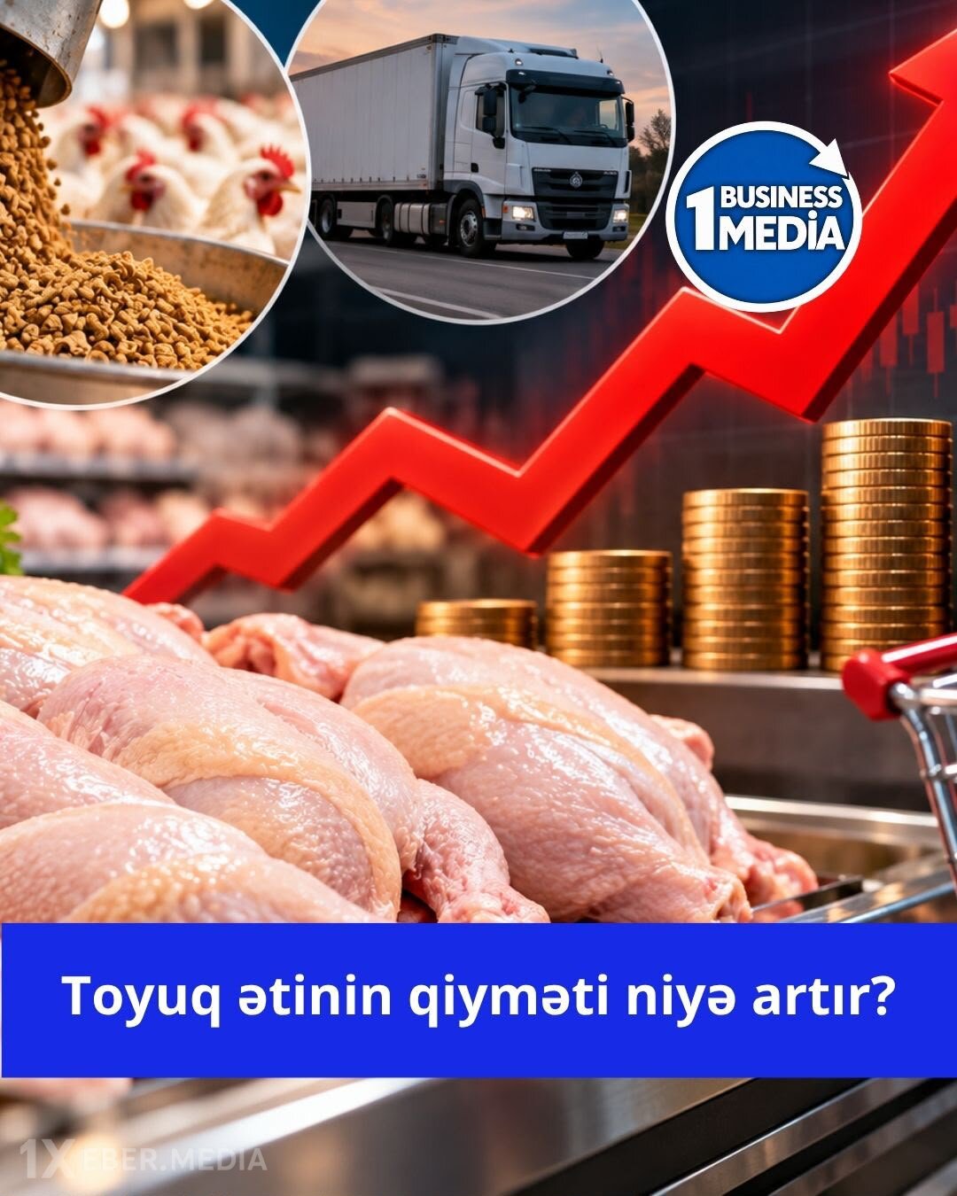 Toyuq ətinin qiyməti niyə artır? – İQTİSADÇI AÇIQLADI