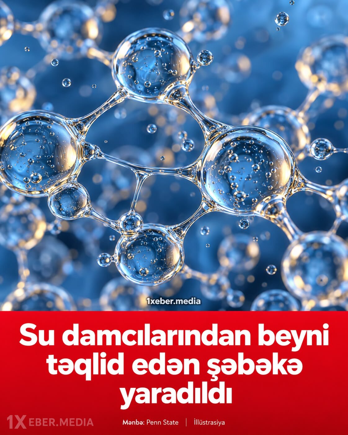 Su damcılarından beyni təqlid edən şəbəkə yaradıldı