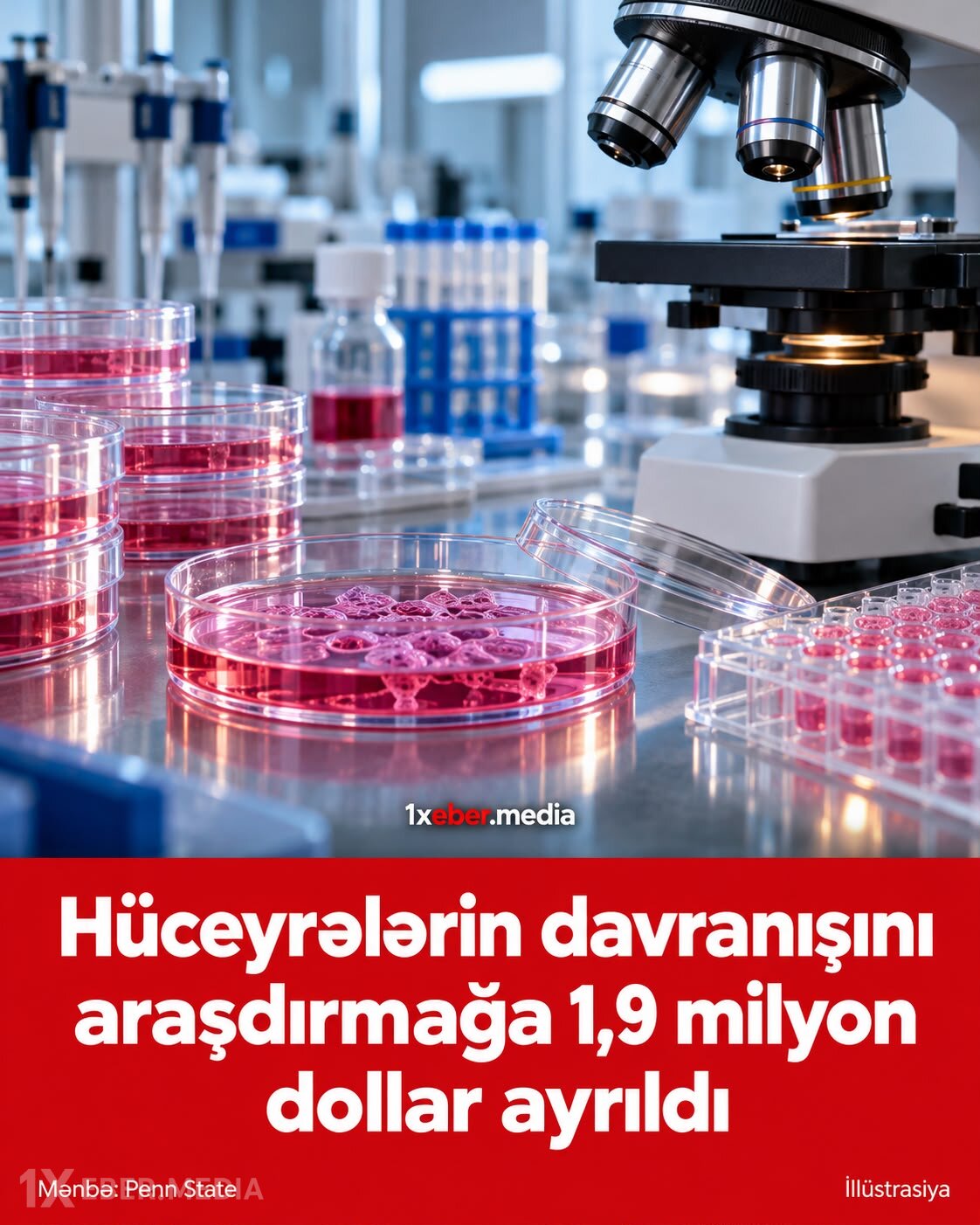Hüceyrələrin davranışını araşdırmağa 1,9 milyon dollar ayrıldı