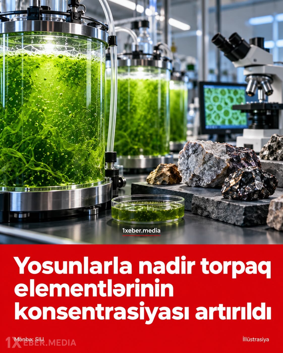 Yosunlarla nadir torpaq yaradıldı