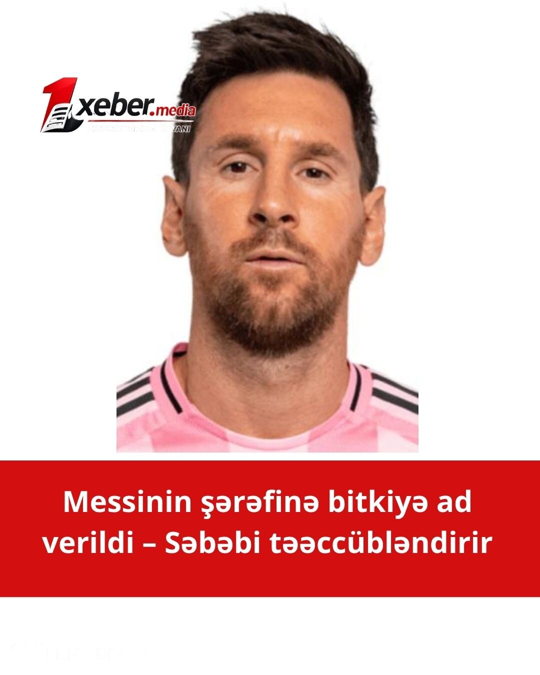 Peruda yeni bitki növünə Messinin adı verildi