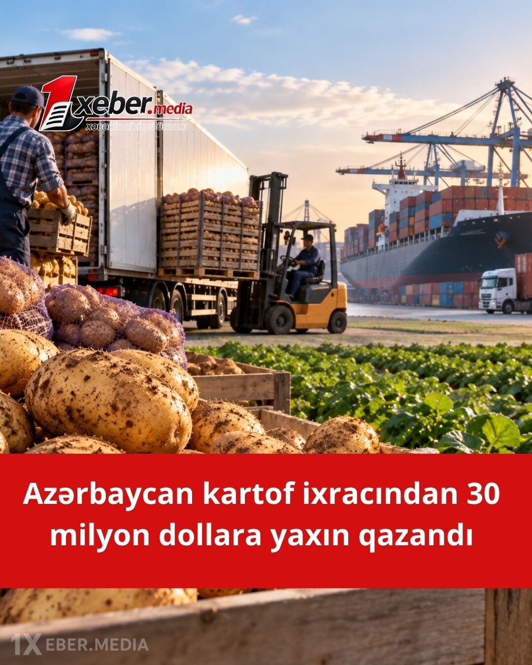Kartof satıb milyonlar qazandıq! — Hesabat dövründə xaricə nə qədər məhsul çıxarılıb?